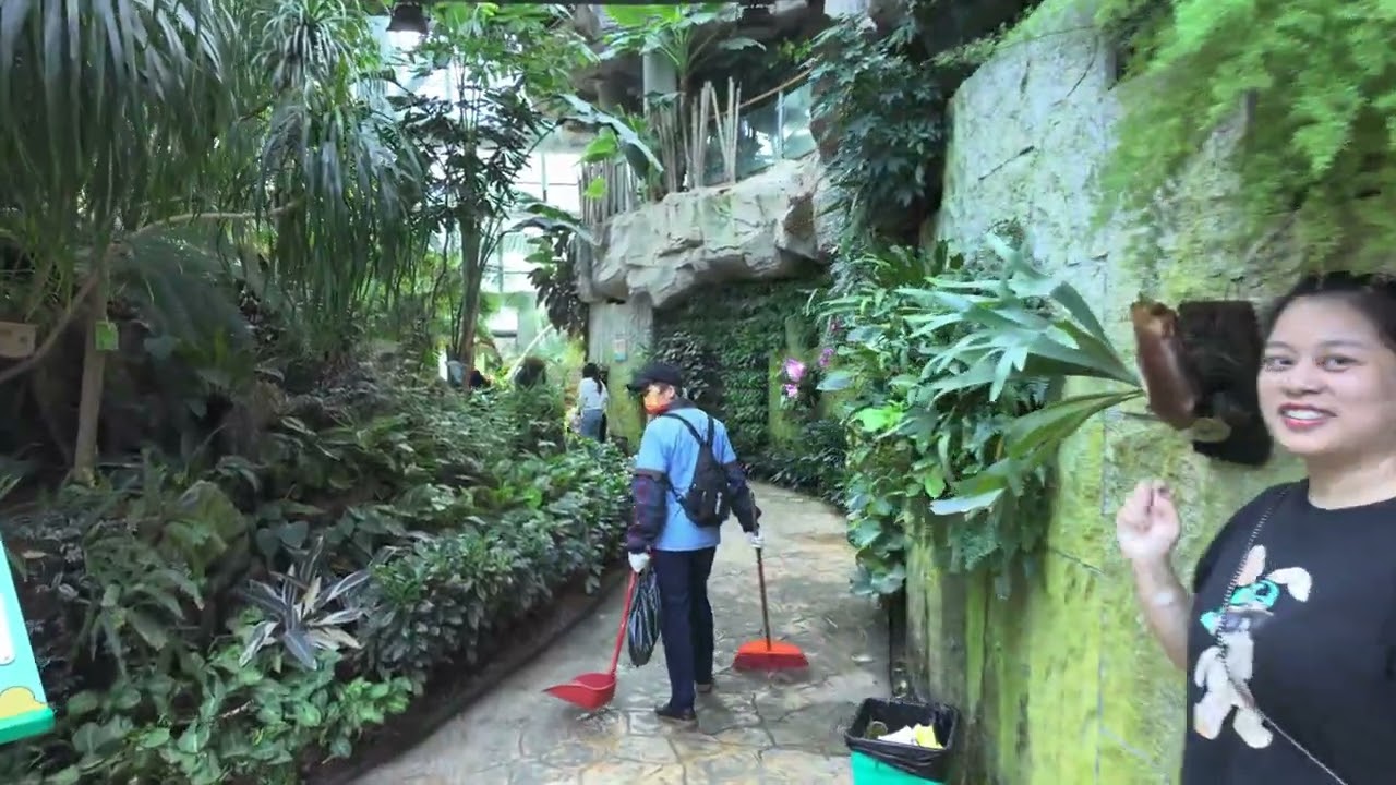 China Huizhou Botanical Garden Tour | A Free Hidden Gem Park in Guangdong 🌿 惠州植物园实拍｜免费又好逛的广东宝藏公园 🌿