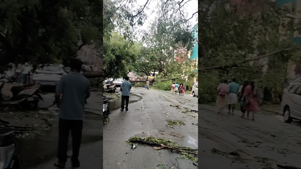 Rain effect in Bengaluru RT nagar