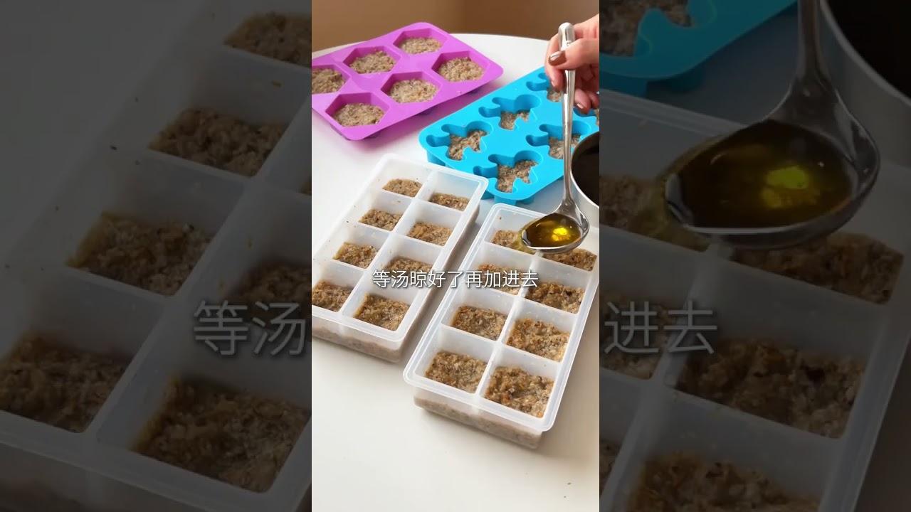 不加调料就鲜得掉眉毛了，炖肉更香 #自制狗饭 #备餐