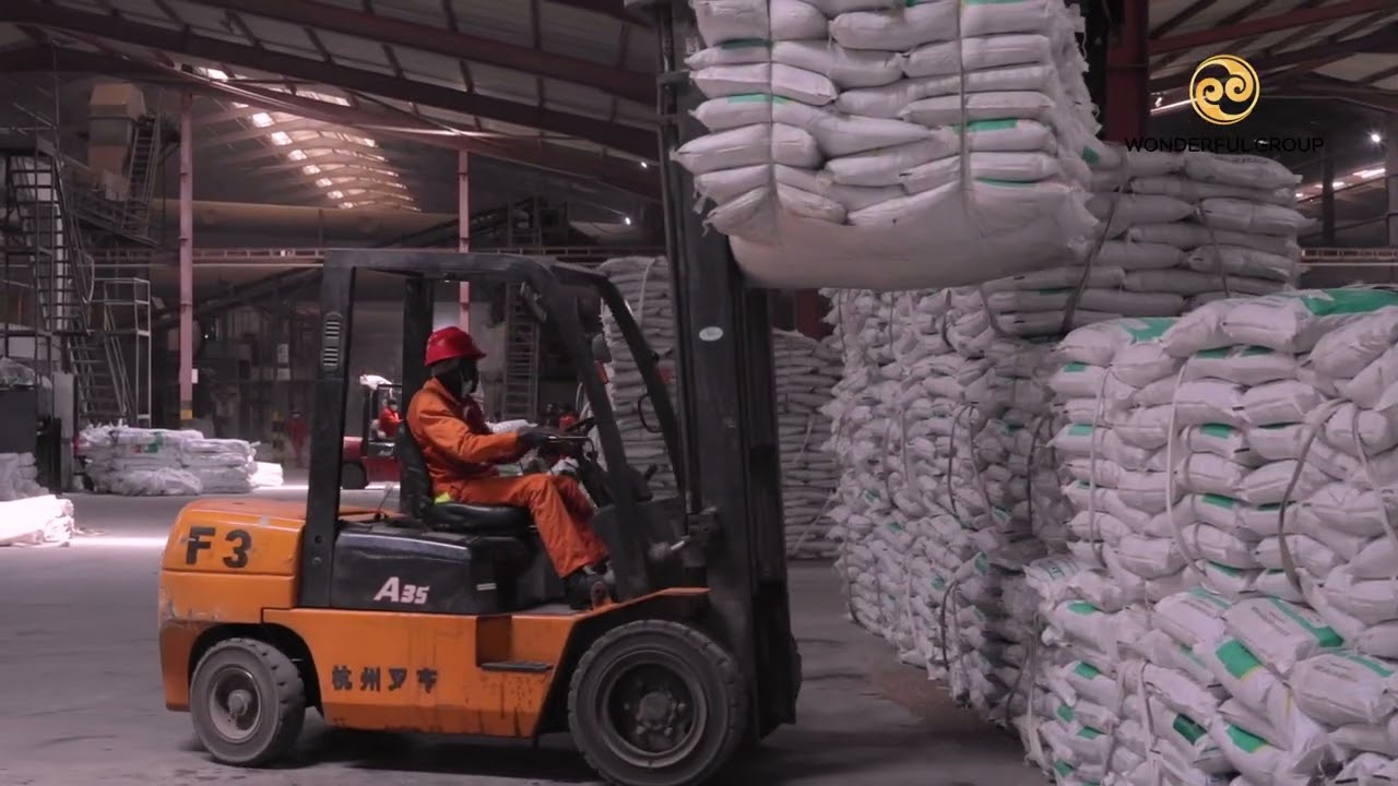 Wonderful Group 2026: Leading The Industry ~ Creating The Future (Official Video) 🇿🇲