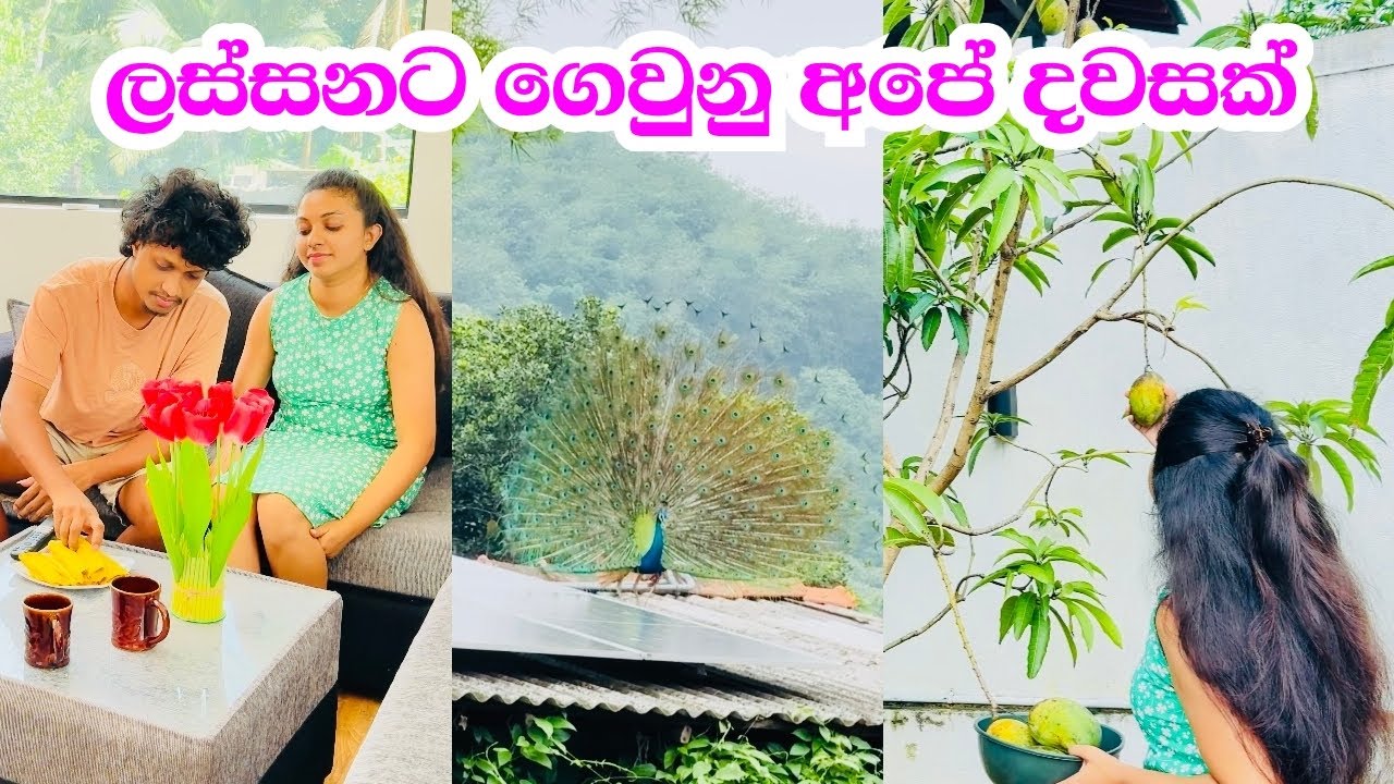 අපේ ජීවිතෙන් දවසක්🥰🥭✨💞| Day in My Life 📚🌷| Productive day vlog🪷🍄