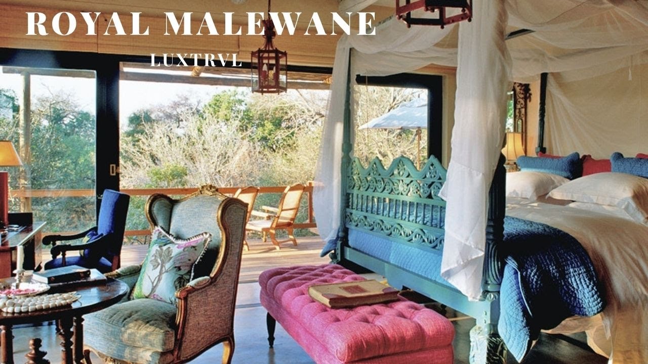 Royal Malewane in Thornybush Private Reserve Greater Kruger Wild Dogs Sighting!