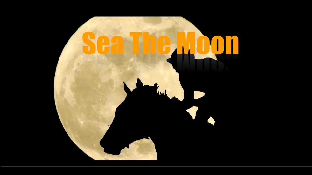 SEA THE MOON - The Song
