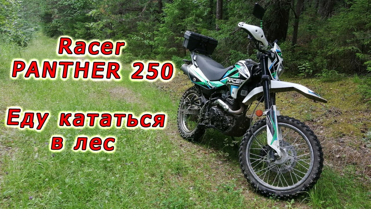 Racer PANTHER 250 // Прохват по лесу