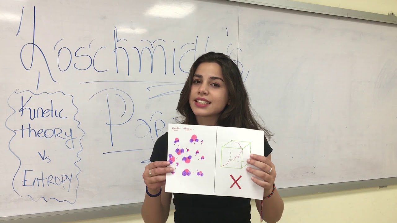 Loschmidt's Paradox