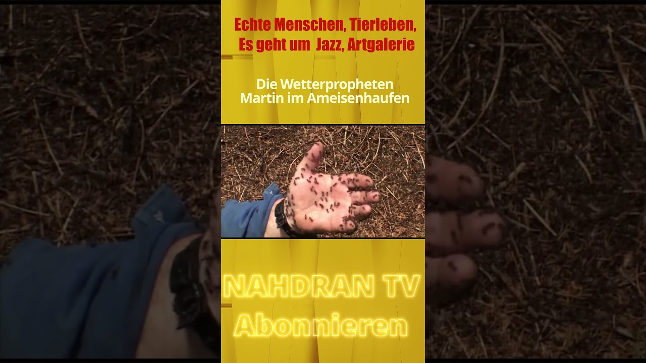 Nahdran TV: Martin Horat im Ameisenhaufen