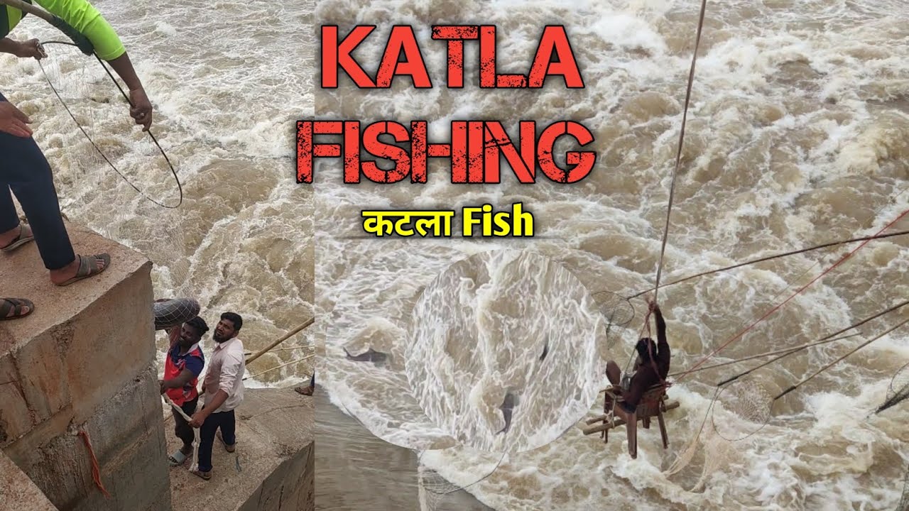 Katla fishing/How to catch katla fish/katala fishing/kathala fish/katla fish/katla fish kaise pakade