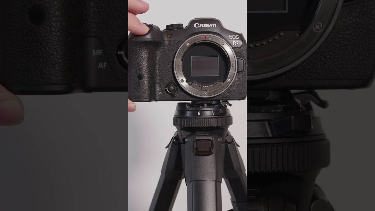 The Difference is Incredible! Canon R7 vs R8￼