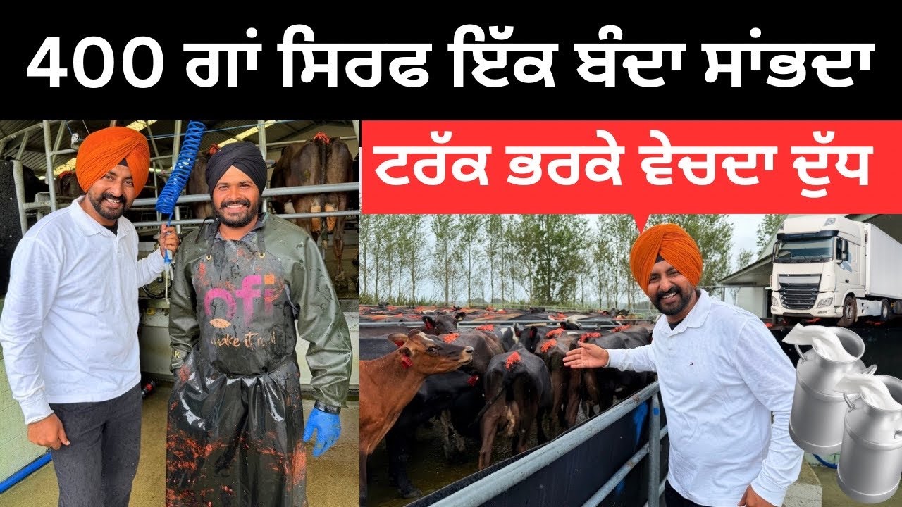 ਨਿਊਜੀਲੈਂਡ ਦੇ ਡੇਅਰੀ ਫਾਰਮਾਂ ਦੀ ਕਮਾਈ Dairy Farm life NZ | Punjabi Travel Couple | Ripan Khushi