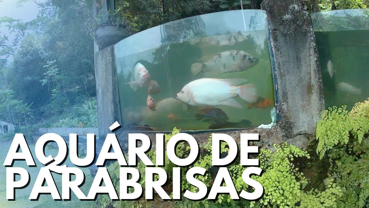 Para&iacute;so escondido? Burarama #walkingtour #cartour #interior #morandonointerior
