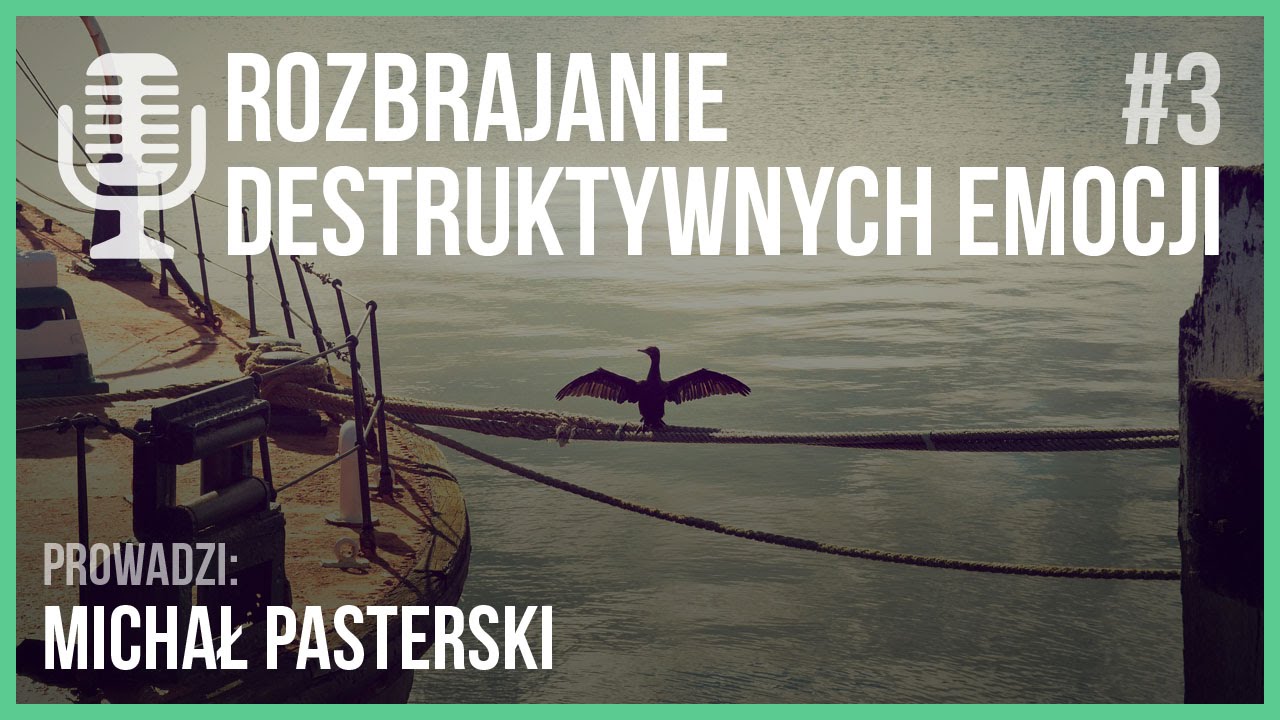 Rozbrajanie destruktywnych emocji | Audycja Life Architect #3