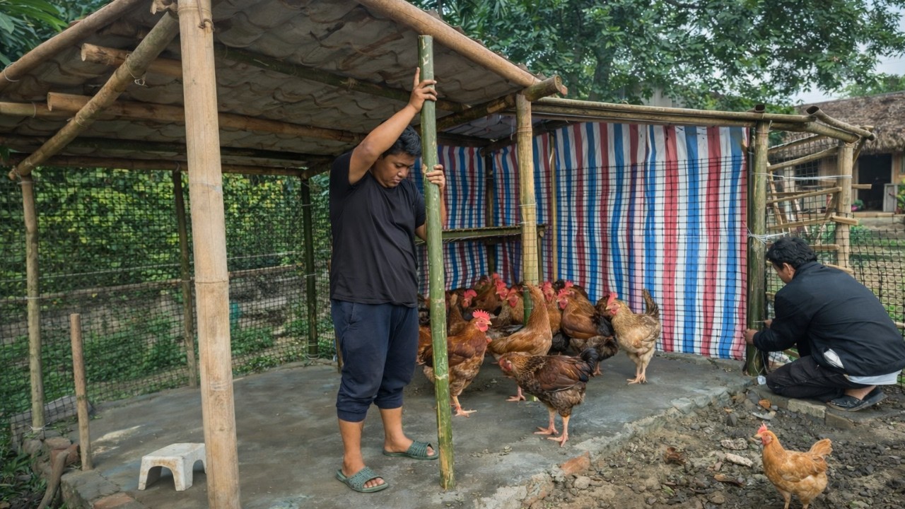 My Chickens Finally Have a Home | A CEO’s Farm Journey