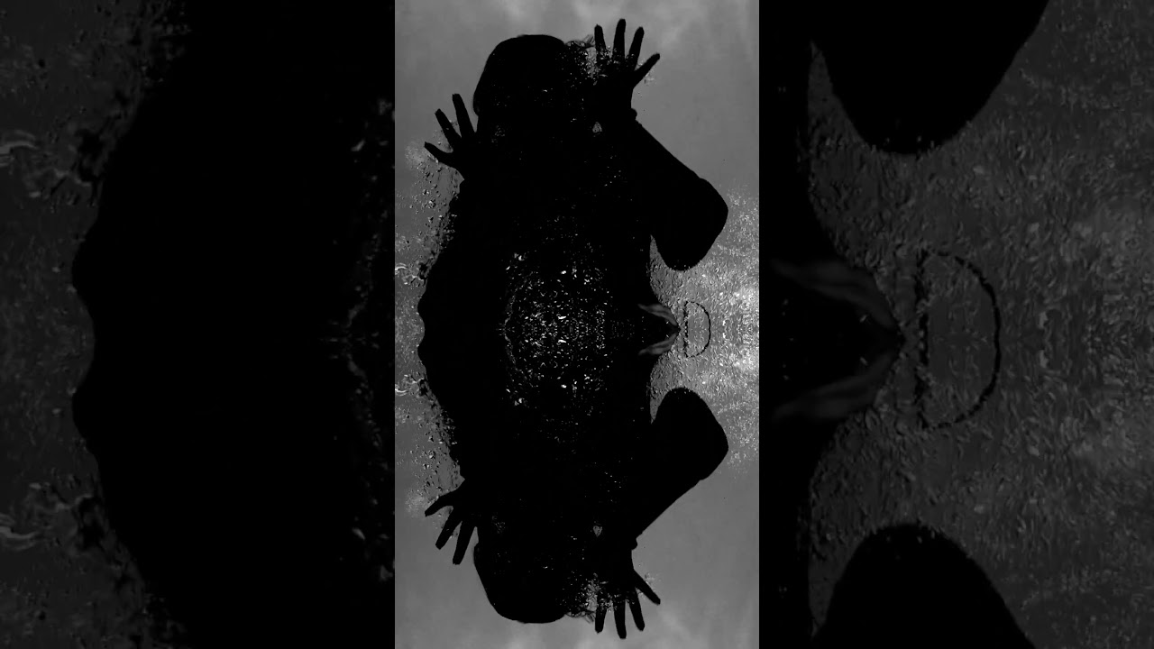 VOWWS - SHUDDER ft. Josh Freese & James 'Munky' Shaffer out tomorrow. Tune in 10am CET