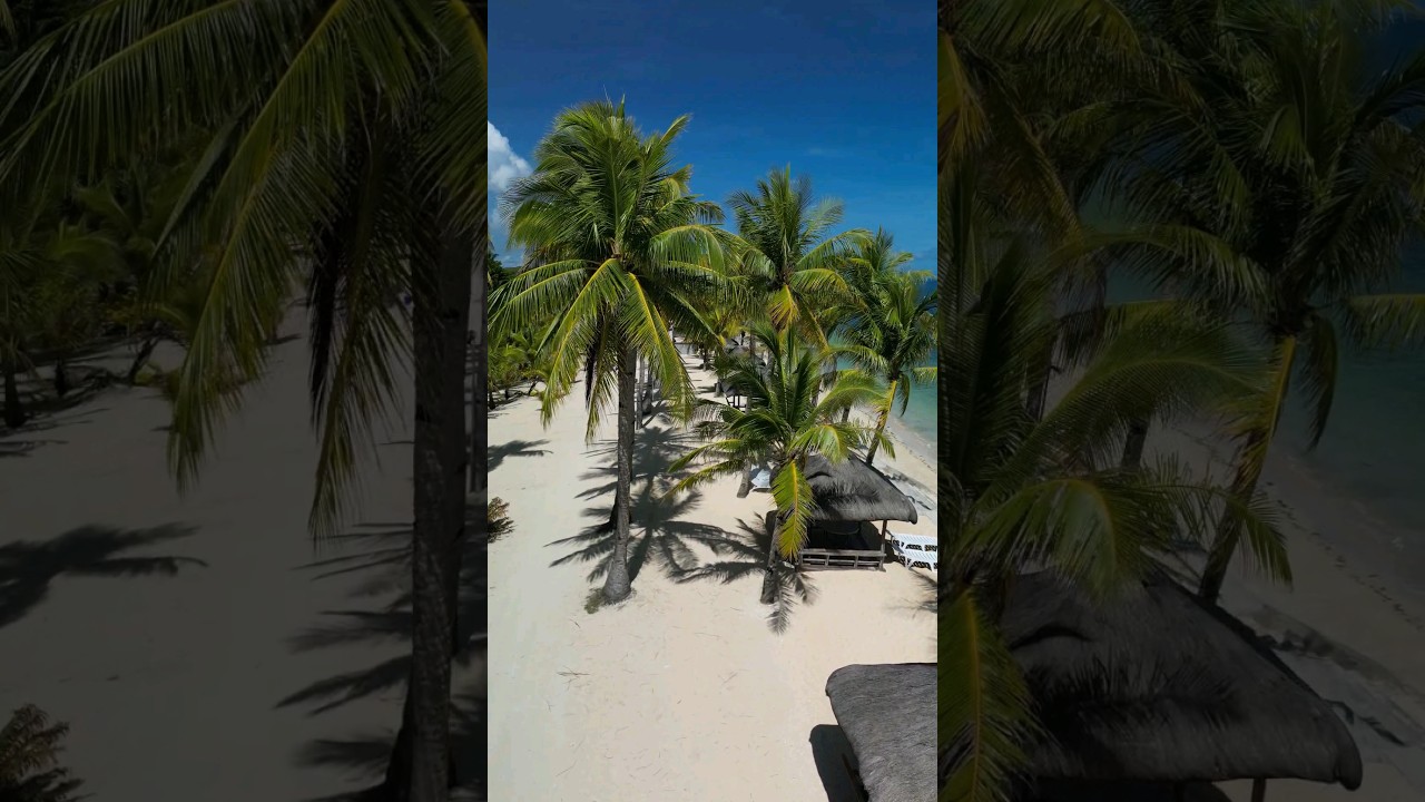 Find Your Dream Beach in Cebu Philippines #cebu