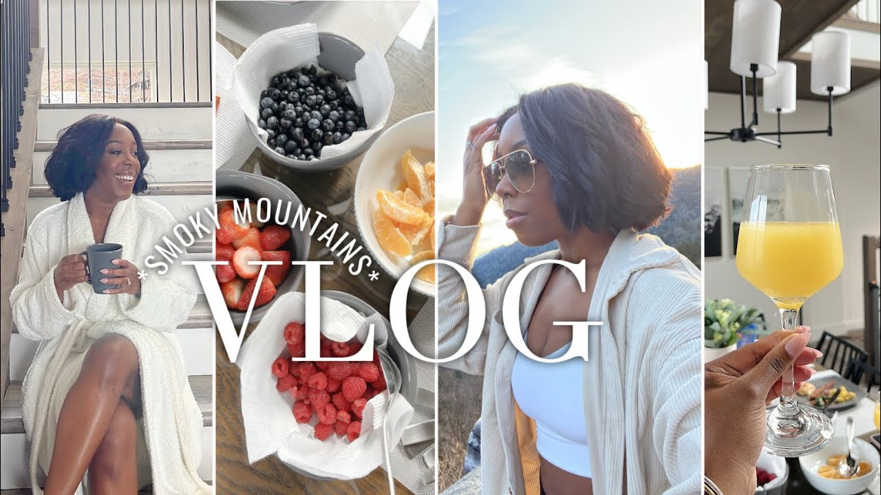 ~cozy~VLOG☕️| black influencers in the SMOKY MOUNTAINS + luxury cabin tour | Andrea Renee