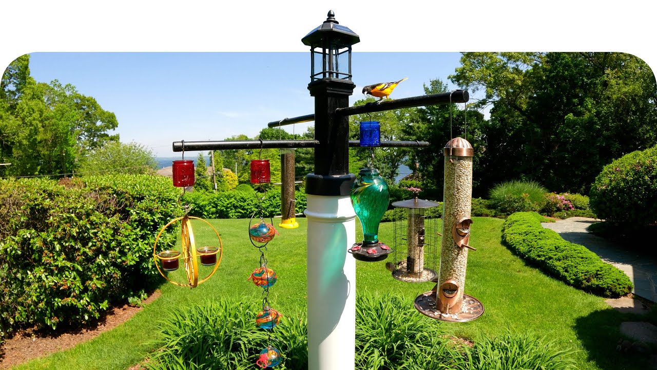 How to KEEP Squirrels Off Bird Feeders | Build a Squirrel Proof Bird Feeder 
