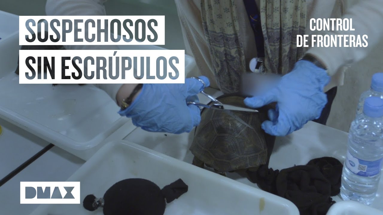 El chatarrero, el contrabandista y la esteticista: 3 sospechosos | Control de fronteras: Europa