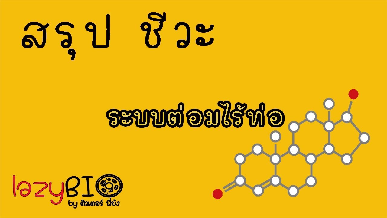 สรุปชีวะ ระบบต่อมไร้ท่อ (ฮอร์โมน)
