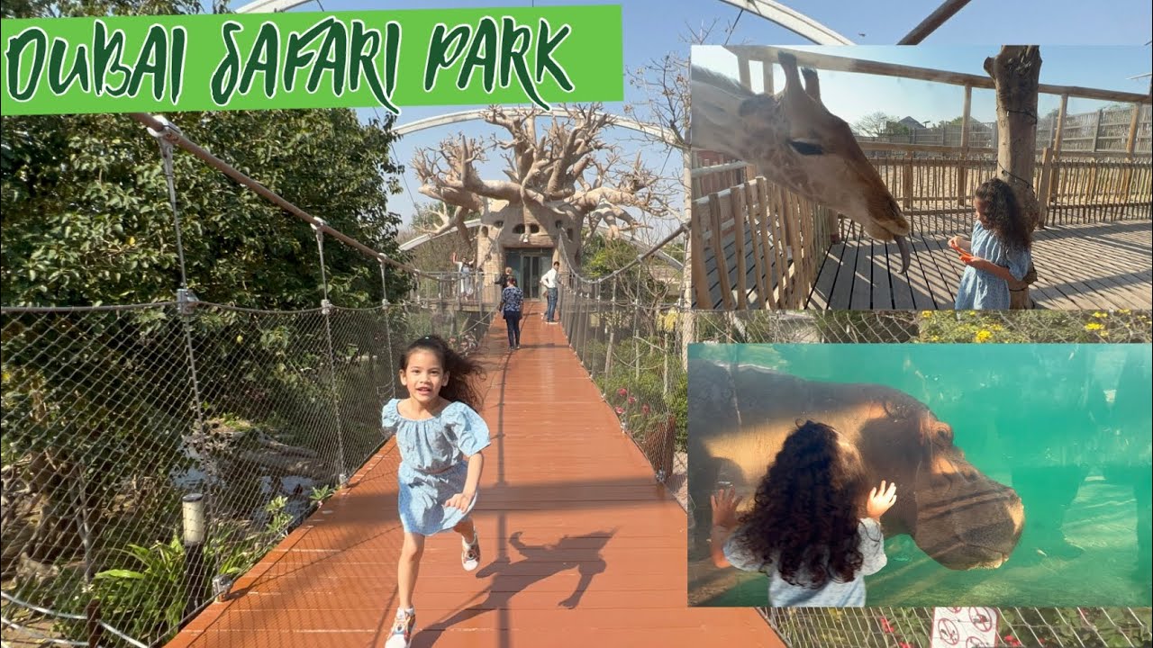 Dubai Safari Park | My Safari Adventure