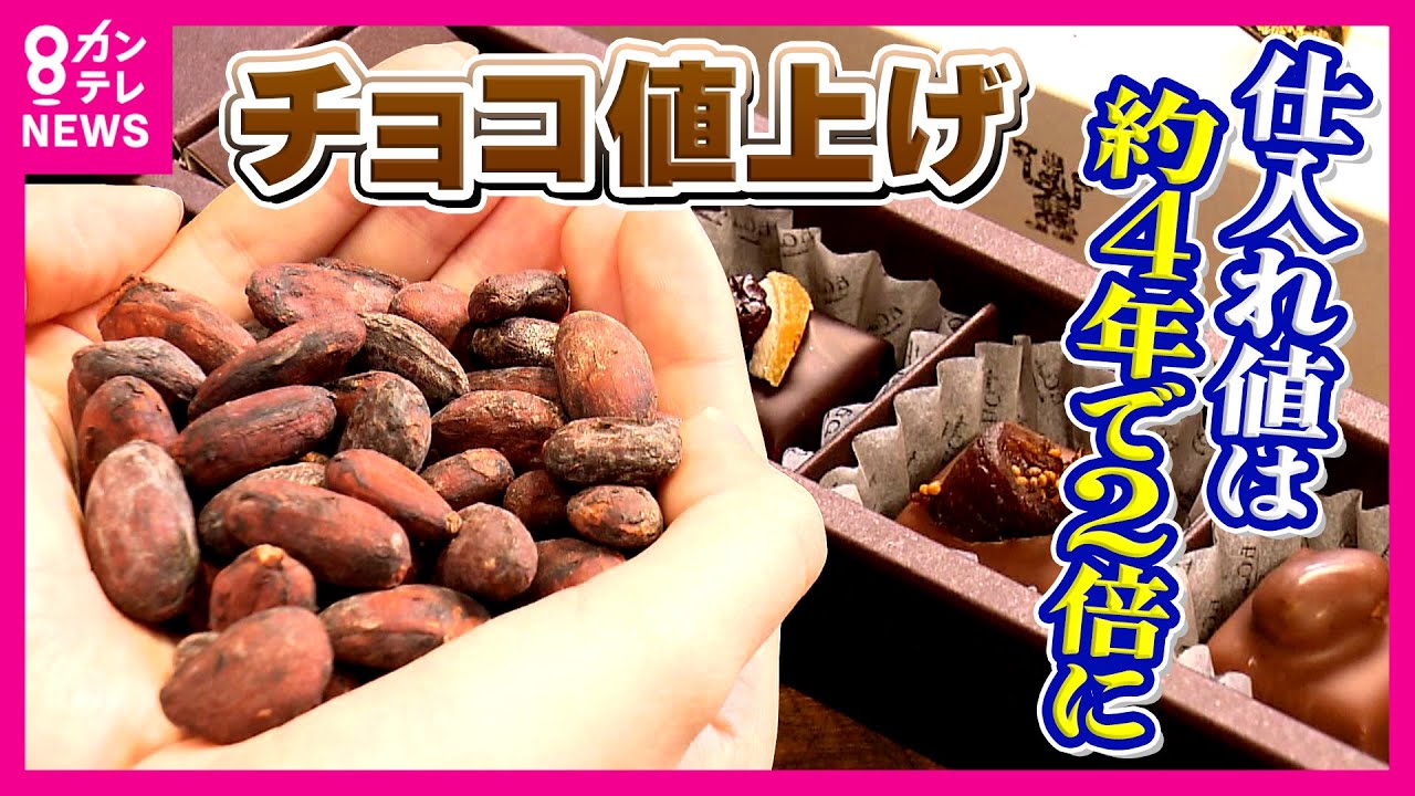 バレンタイン危機！カカオ価格2倍に高騰　国産栽培や「代替チョコ」で打開策模索する日本　「安い時代には戻らない」専門家が警鐘｜newsランナー〈カンテレNEWS〉