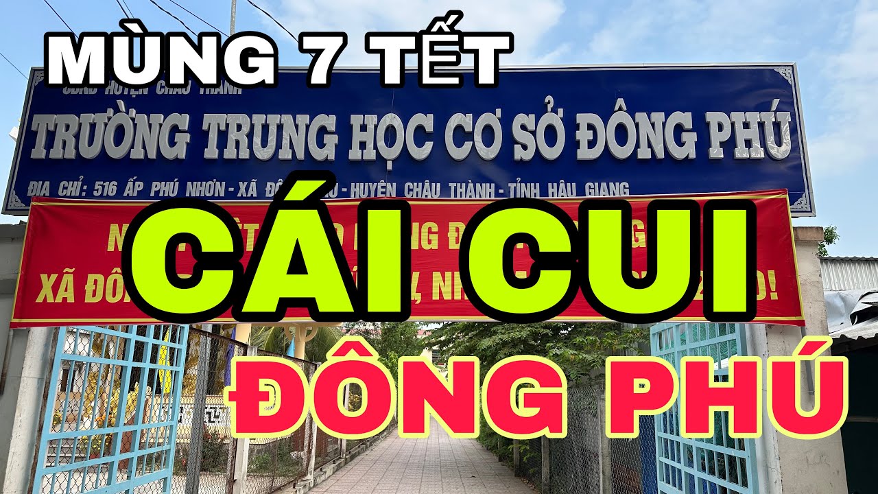 CÁI CUI, ĐÔNG PHÚ, PHÚ THỨ, BẾN BẠ TP CAN THO 🌺5-2-2025 🌺cần thơ ký sự