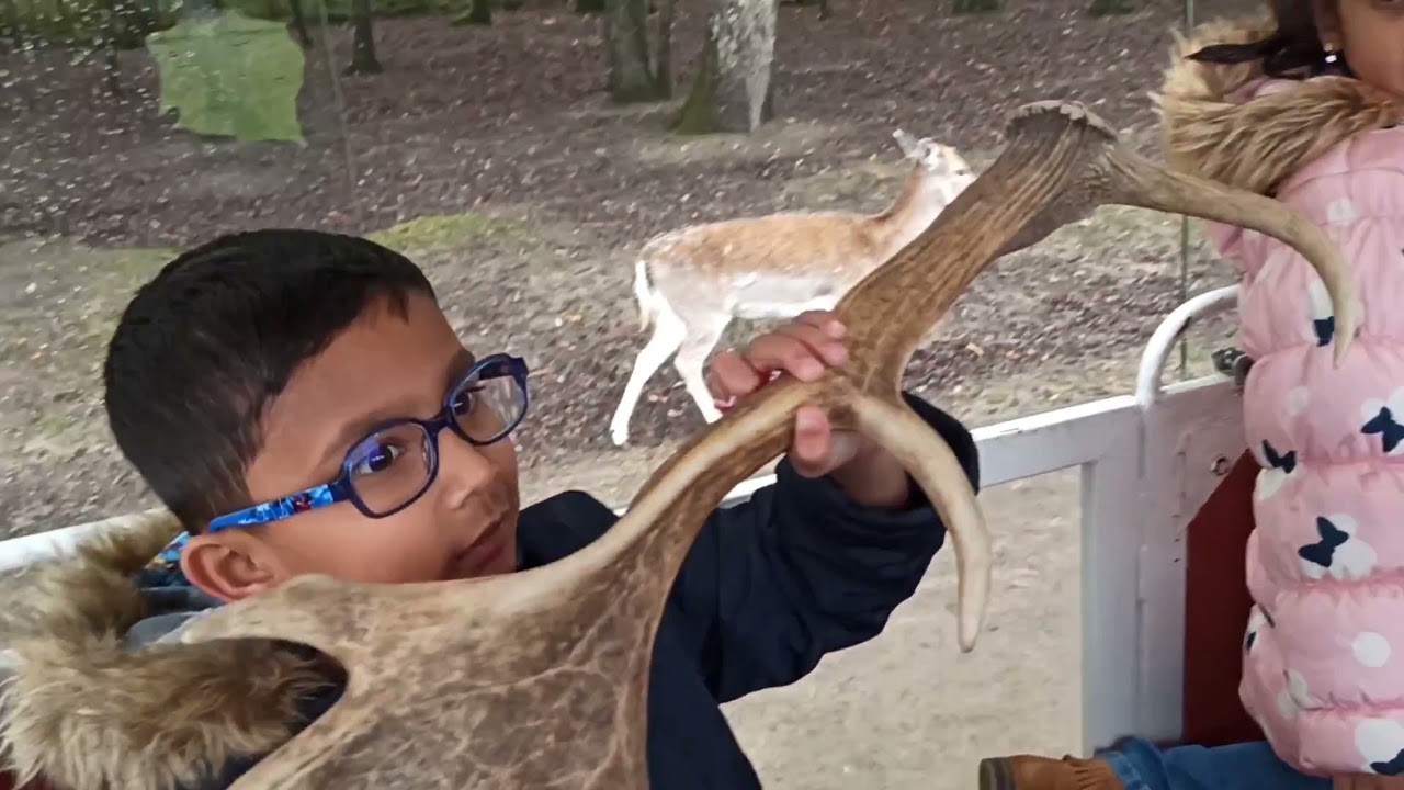 Réserve de Beaumarchais - Safari Train