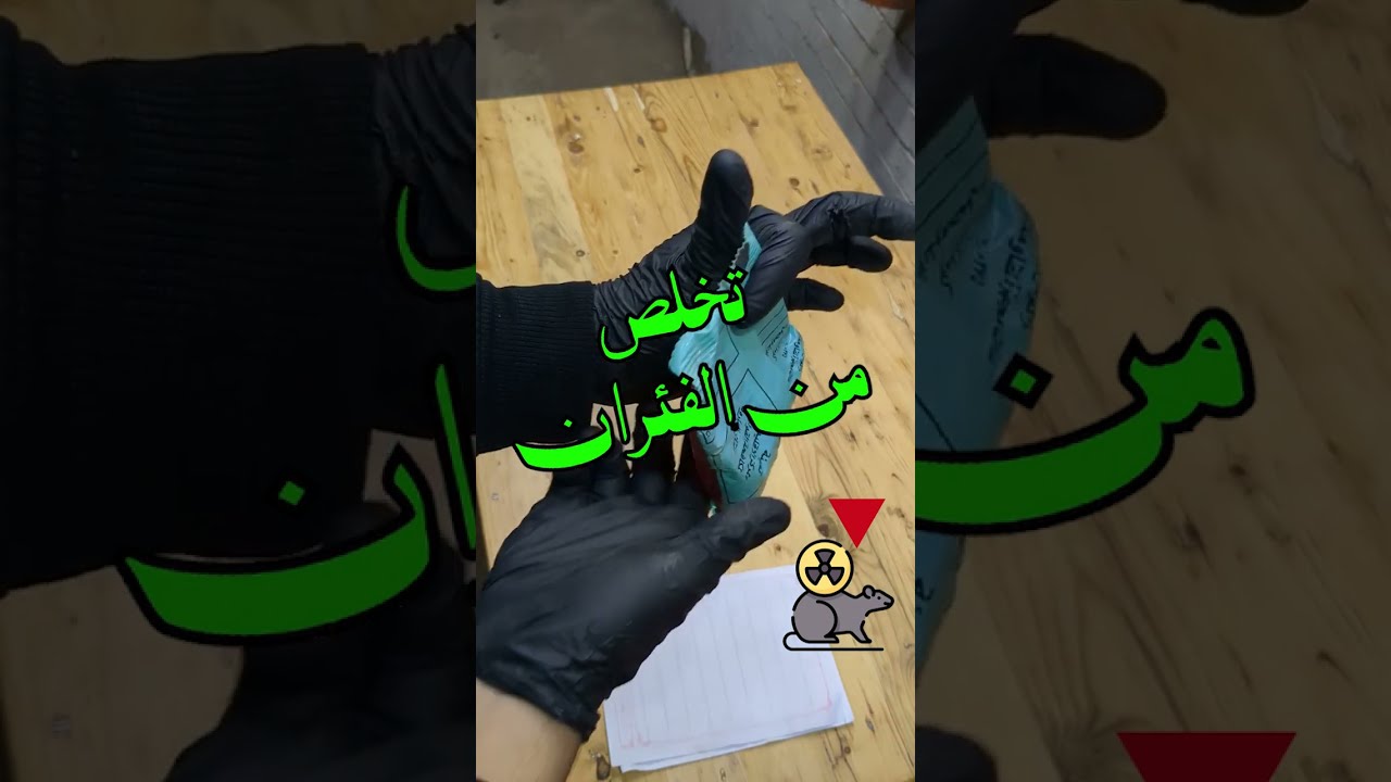 طريقة فعالة ورخيصة للتخلص من الفئران