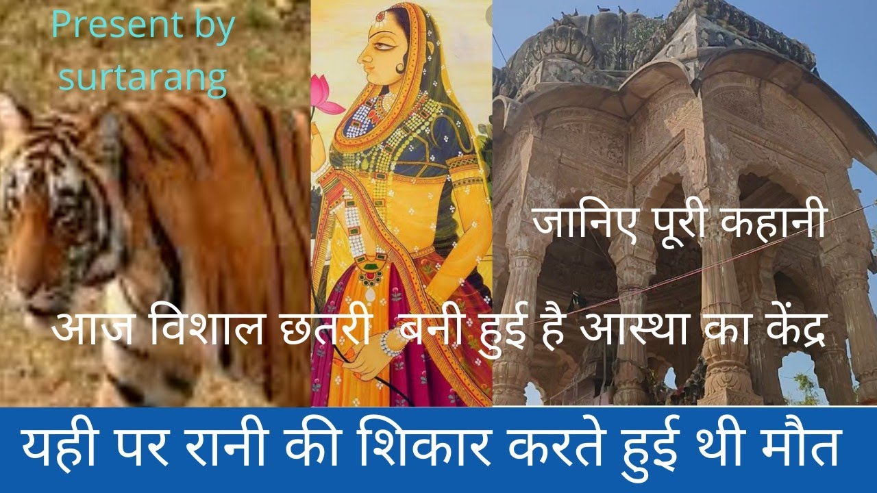 शिकार करते रानी की मृत्यु वही बनाई छतरी पूजते है लोग Shikar karate Rani ki mout vahi chhatari pujate