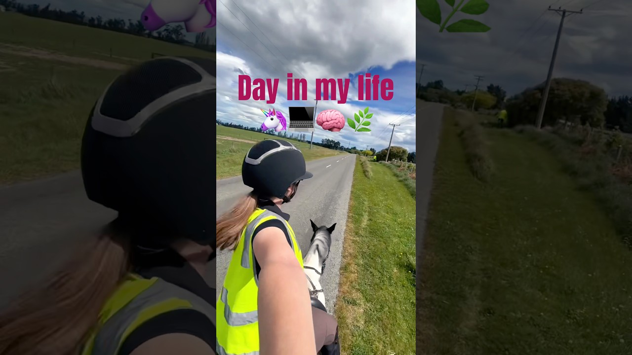 Создатель контента DITL и студент магистратуры 💻🧠🌿 