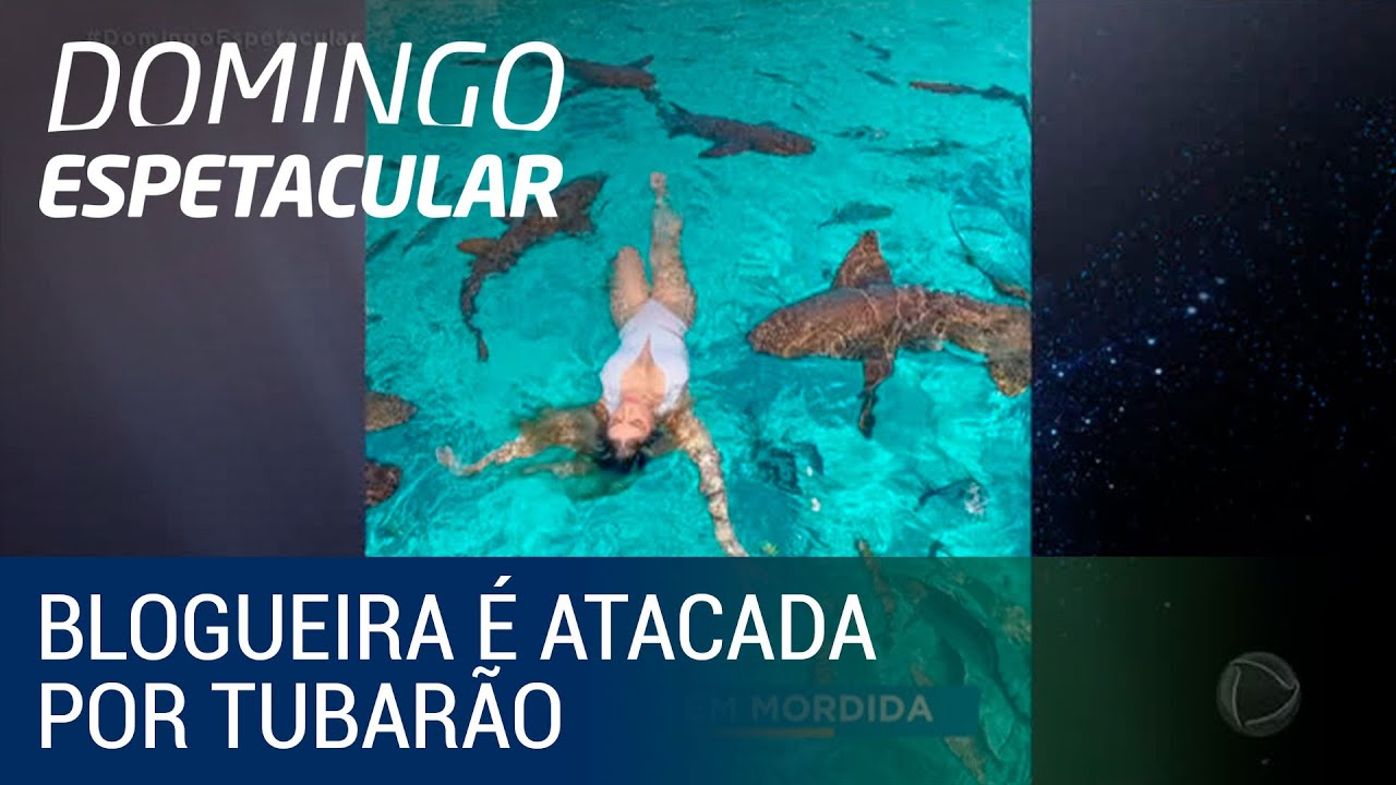 Blogueira mergulha com tubarões para tirar fotos e é atacada