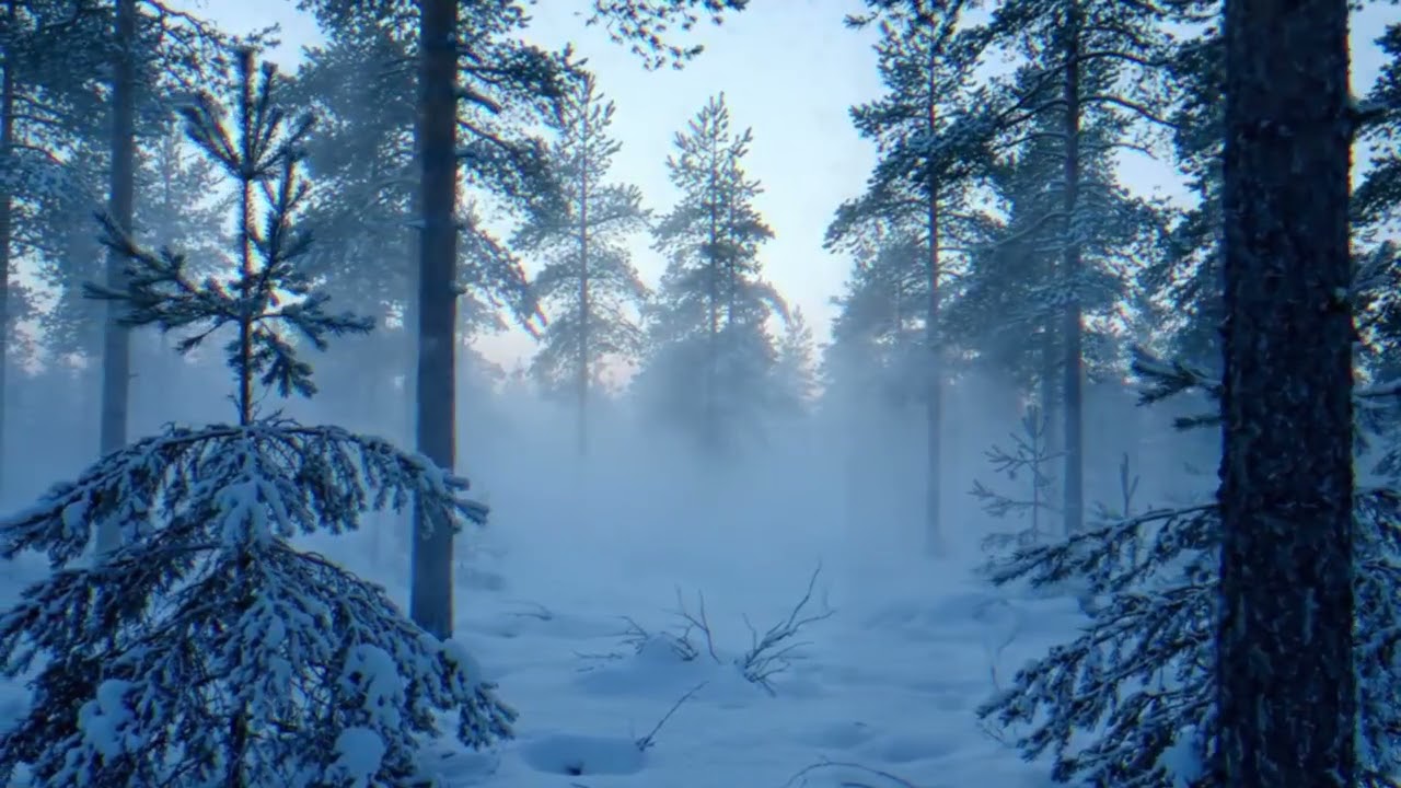1 Hour Ambient Jazz & Bossa Nova - Vol. 2 | Nordic Winter Aurora Mix for Focus & Work