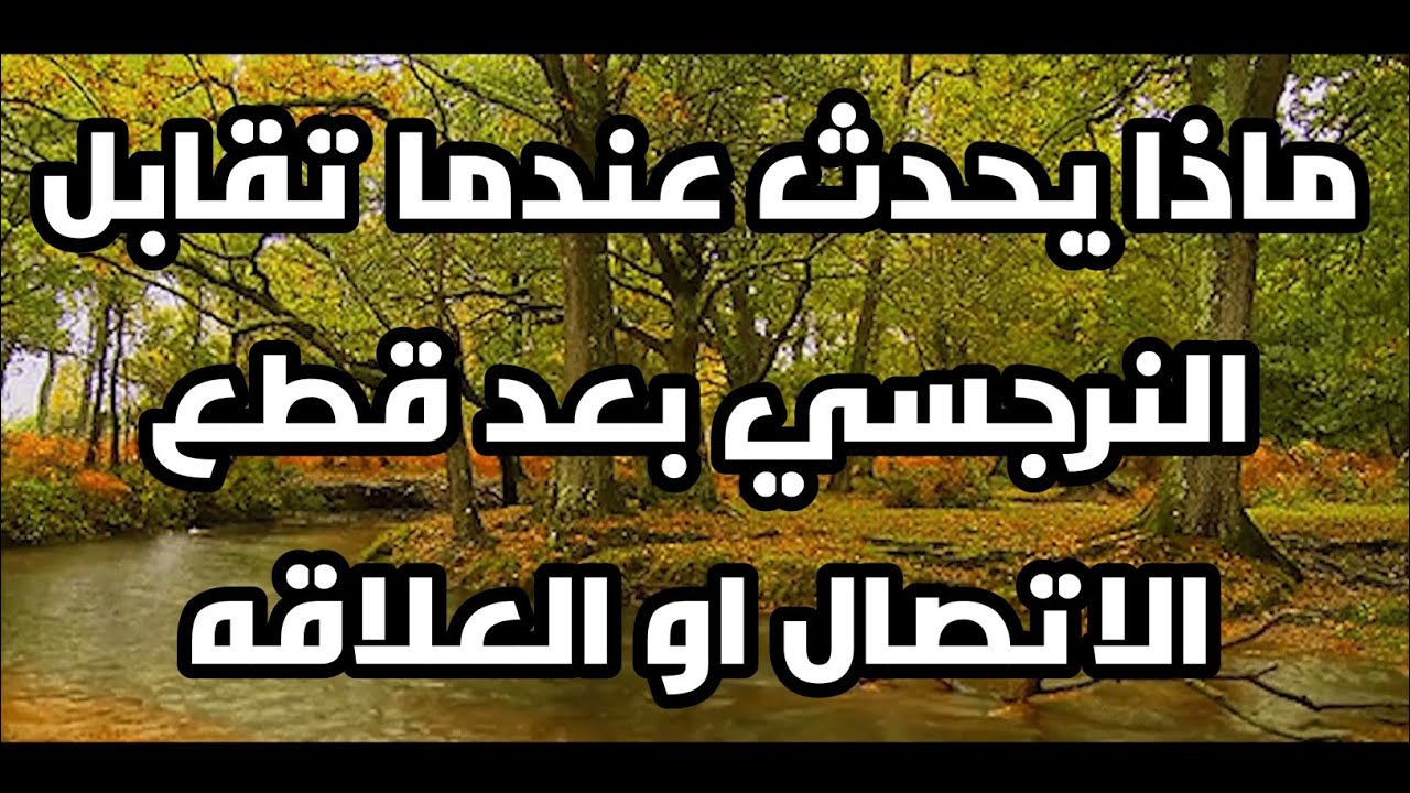ماذا يحدث عندما تقابل النرجسي بعد قطع الاتصال او العلاقه