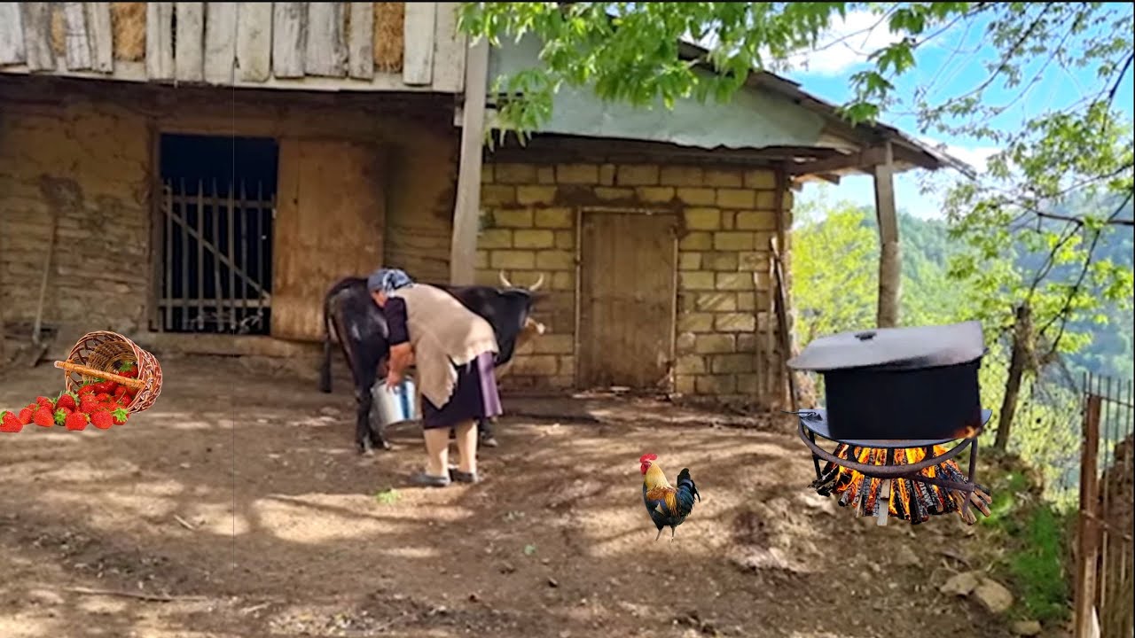 ДЕНЬ В САМОЕ КРАСИВОЕ СЕЛО АЗЕРБАЙДЖАНА - ГОТОВИЛИ ПЛОВ ИЗ УТКИ С ГРЕЦКИМИ ОРЕХАМИ