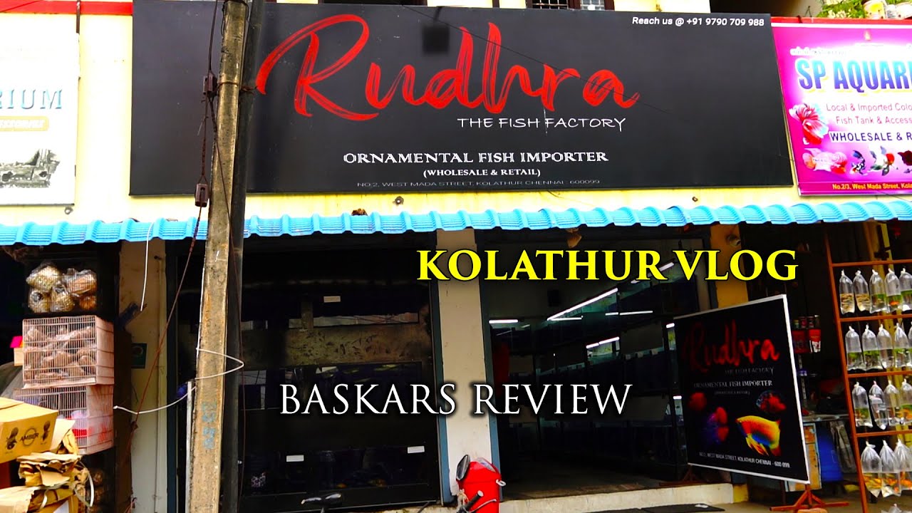 Kolathur Vlog After Lockdown | Rudhra The Fish Factory | Very Lowest Price | கொளத்தூர்