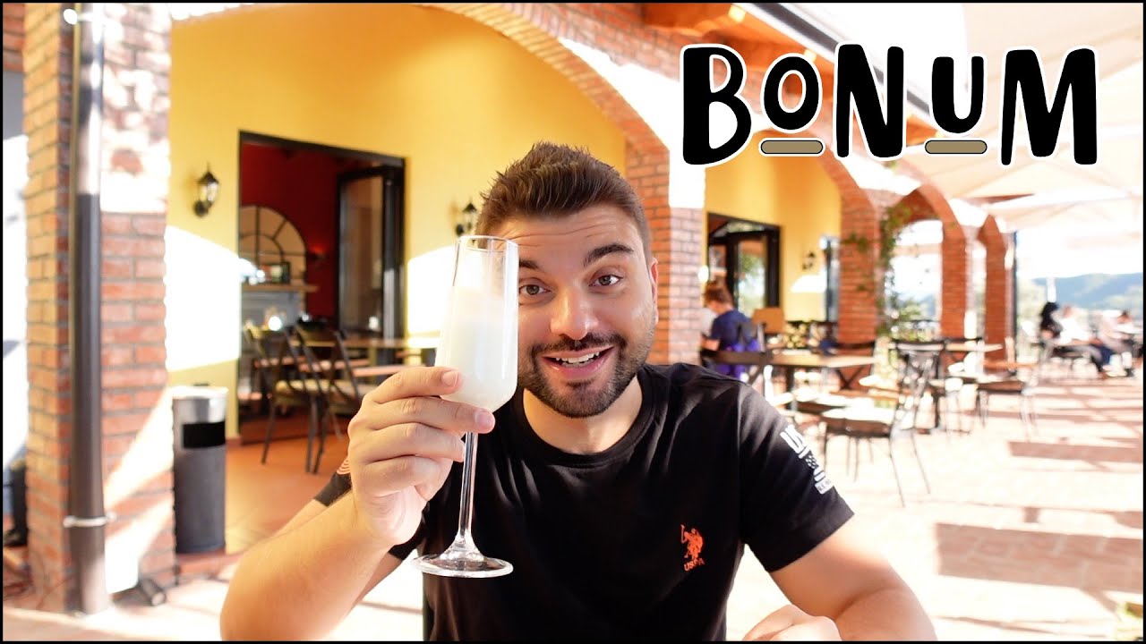 BONUM a Tirana! Gattini ovunque 😺 Primo volo con il drone e.. agriturismo a Tirana 🇦🇱