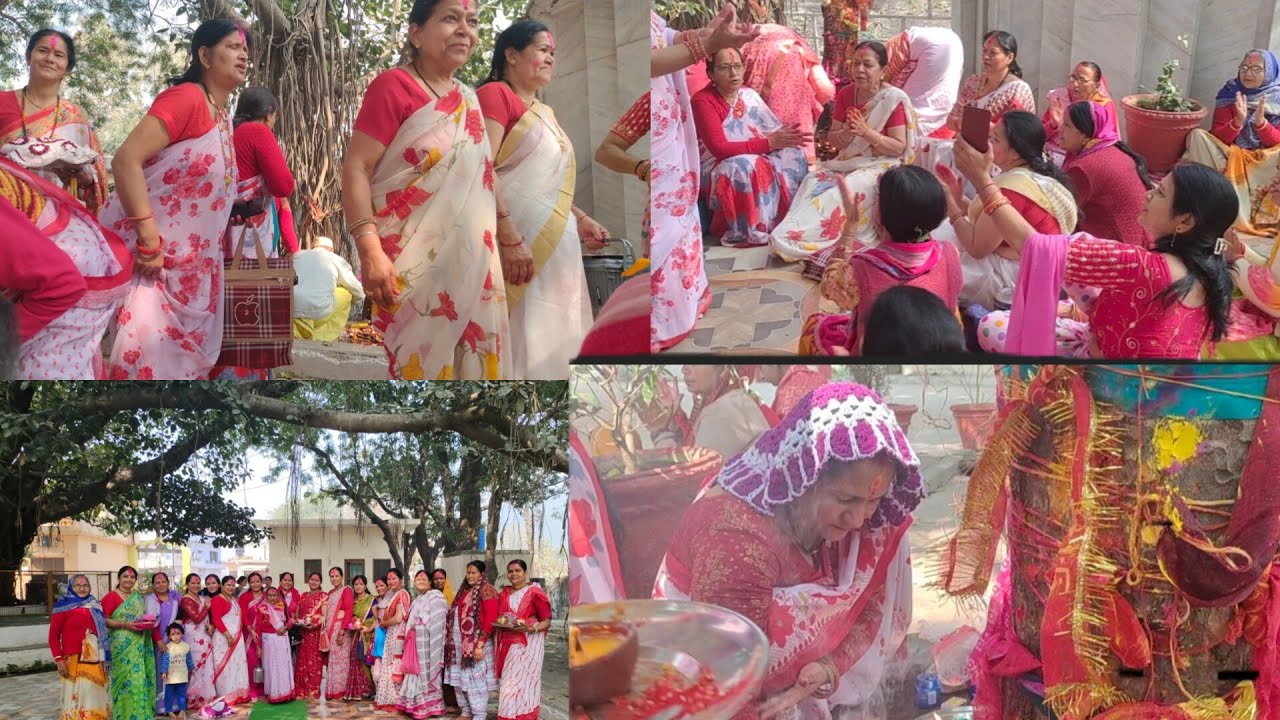 रंगभरी एकादशी में आवले की पूजा कैसे की जाती है इस तरह से बांधी जाती है चीर क्या ।❤️❤️ Holi special