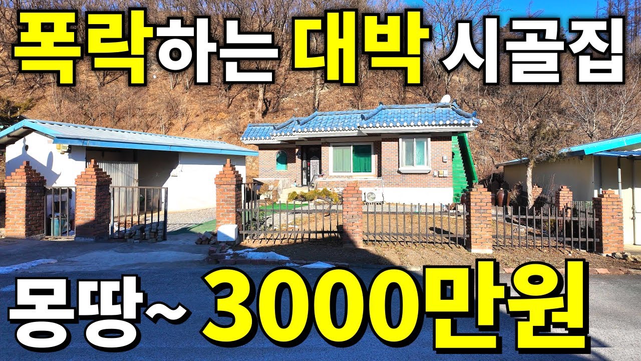 주택+창고+텃밭까지~ 몽땅 3,000만원! 땅넓은 대박집도 못 버티고 폭락한다! 제발 우리집 좀 사주세요