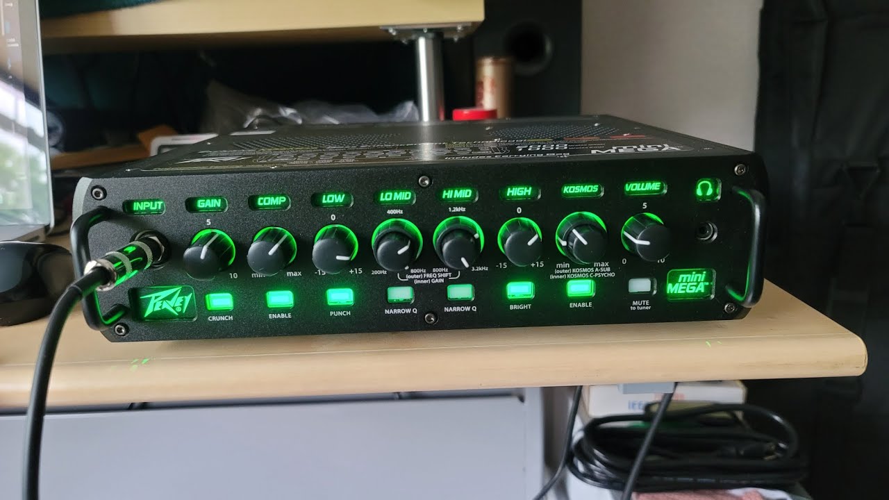 Peavey MiniMega Bass Amplifier: Features, Technical Overview, & Review
