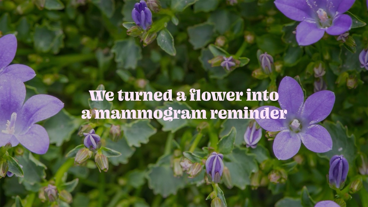 Bellflower Reminder - Novartis