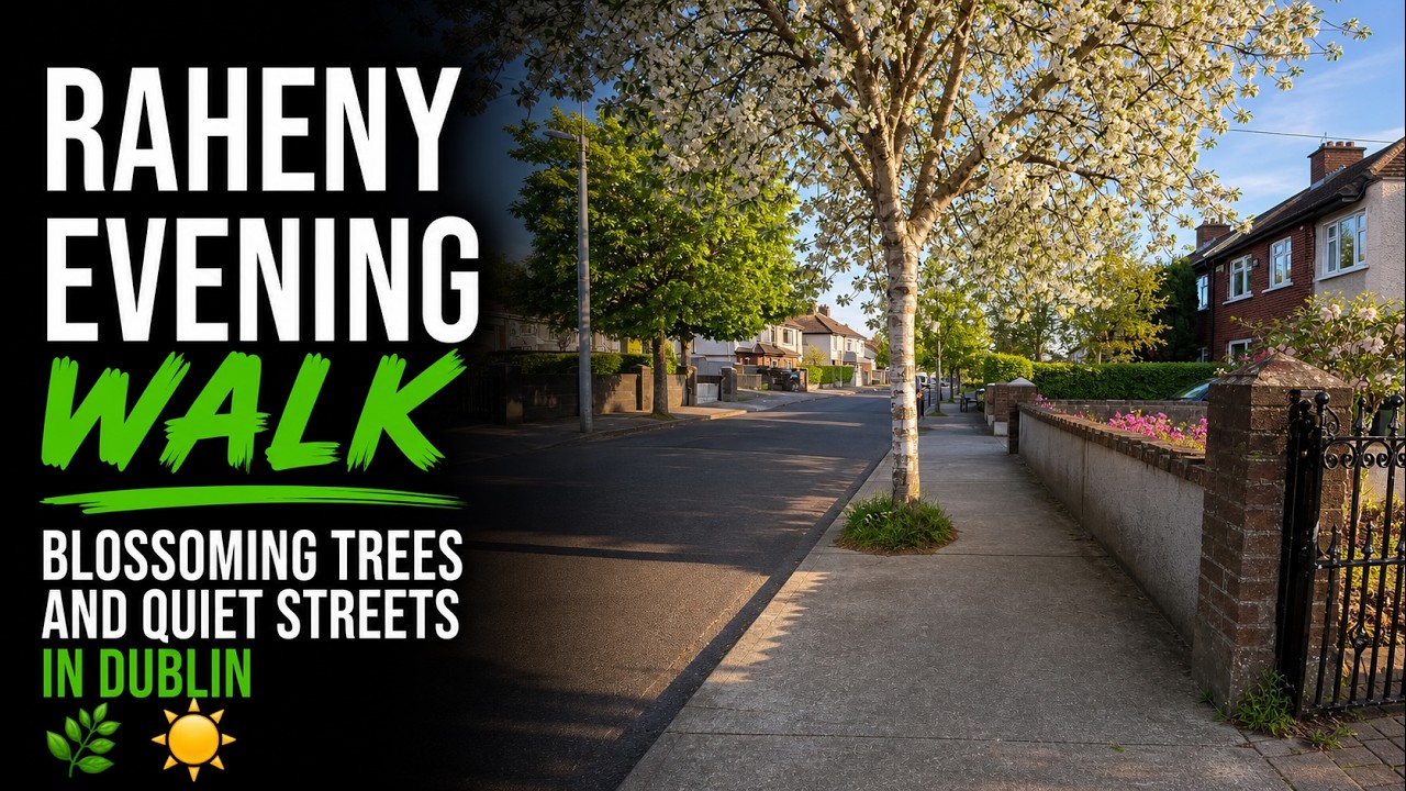 Raheny Evening Walk &mdash; Blossoming Trees and Quiet Streets 🌸☀️