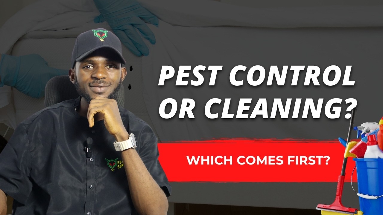 Cleaning Before or After Pest Control? Experts Explain the Best Approach