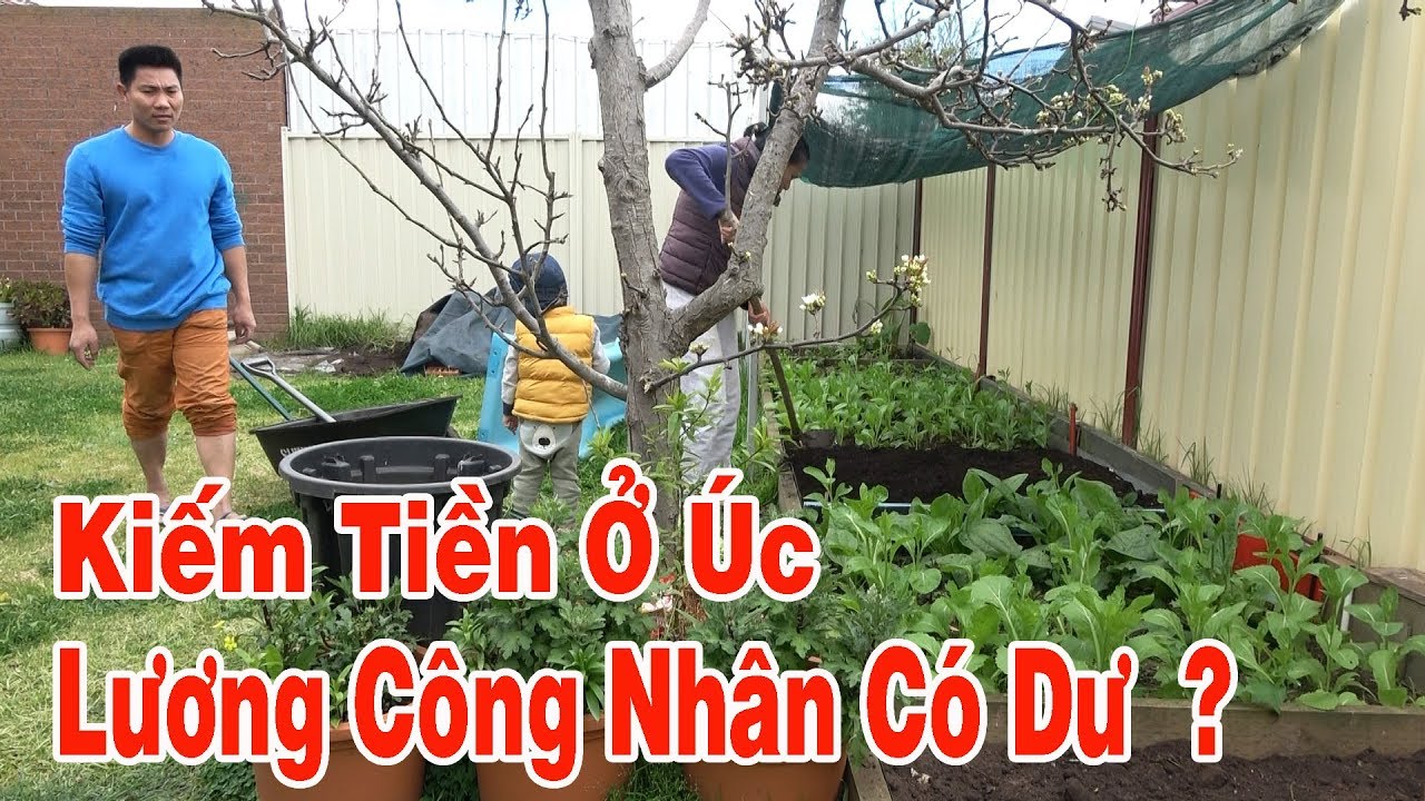 Kiếm tiền ở Úc | người lao động bình thường ở úc ra sao