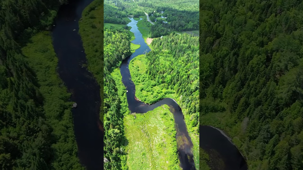 10 Acres on the Magaguadavic River | Private Forest Lot