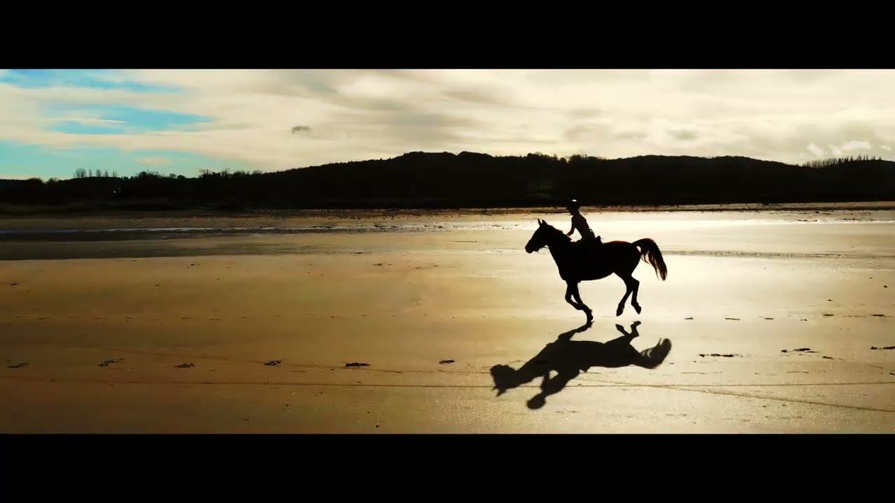 Le cheval, la mer et sa cavalière