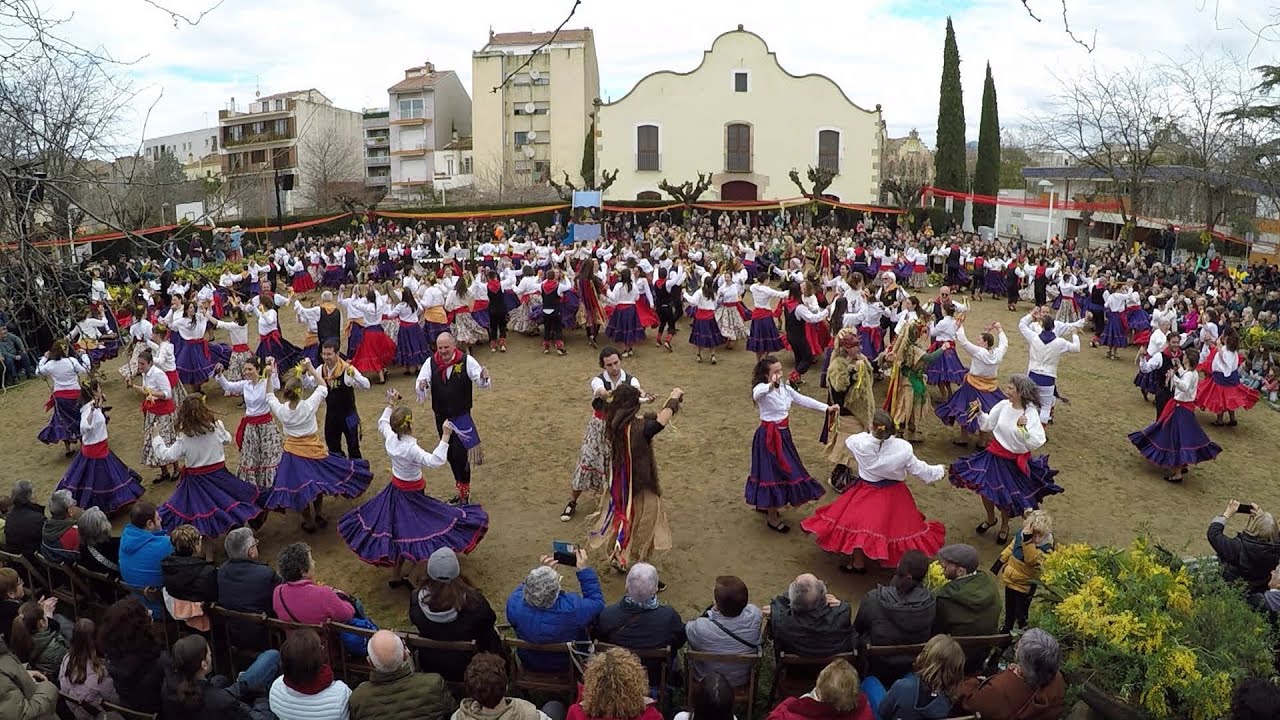 BALLADA de GITANES a CARDEDEU 2025 | Diumenge, 23 de febrer de 2025