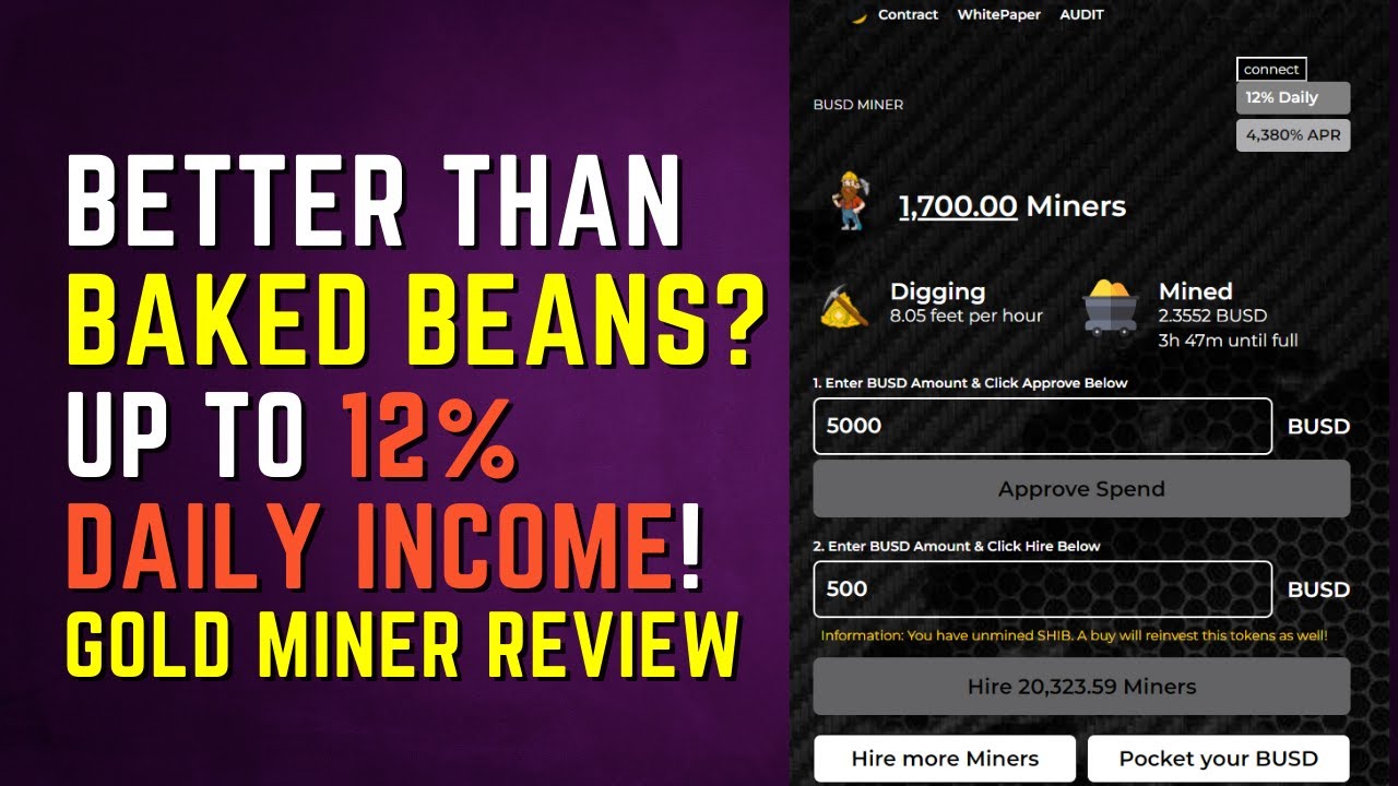 Better than Baked Beans? BUSD Gold Miner Is Best and Safe Even If Crypto Crashes! Review + Tutorial