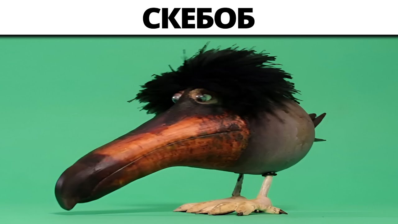 Nature Documentary : Skebob