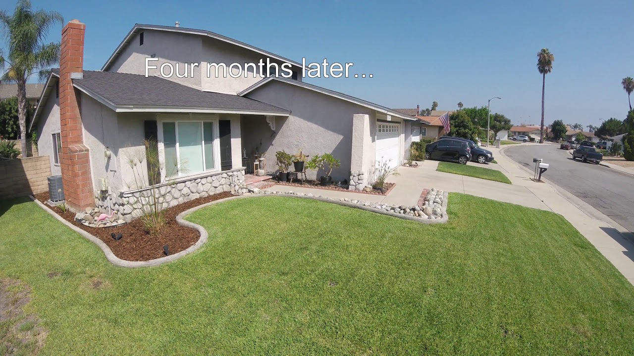 Concrete Lawn Borders - My DIY Experience with Quikrete