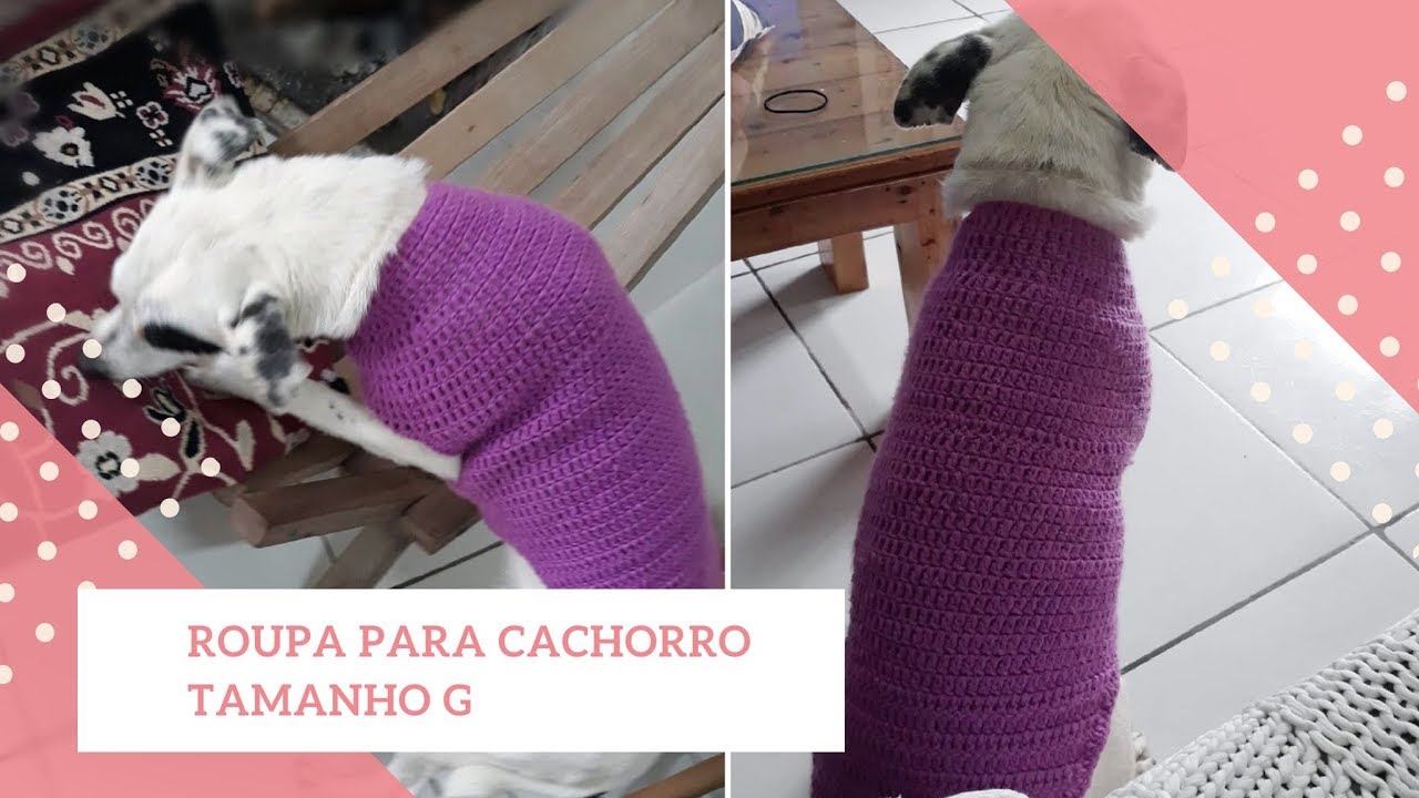 ROUPA PARA CACHORRO EM CROCHÊ TAMANHO G|Clarisse Froner