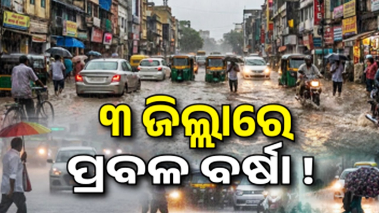 IMD issues orange alert to three districts of Odisha for heavy rain | Kalinga TV